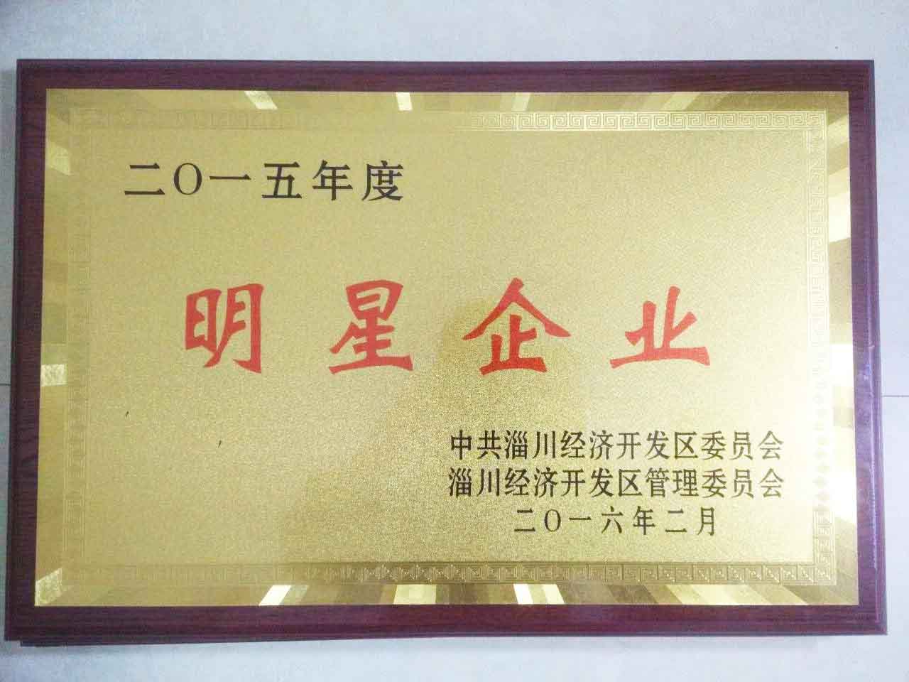 2015年度開發區明星企業
