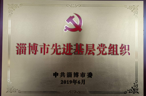 2019年淄博市先進基層黨組織